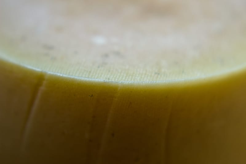 Cheese Updates
