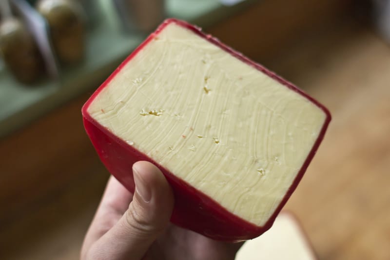 First Cheddar Tasting